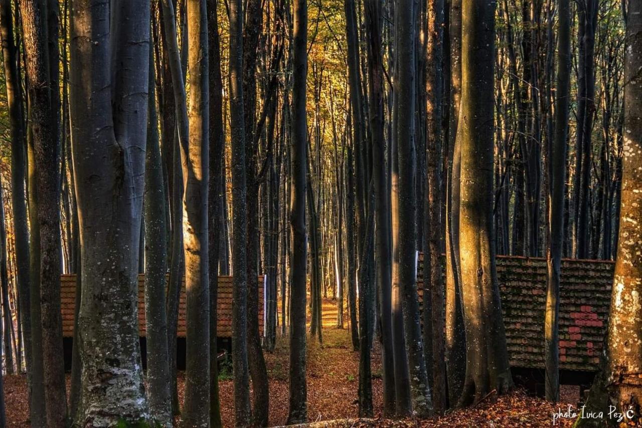 Pensjonat Ruralna Kuca Za Odmor Kablarovo Brdo Krnjak Zewnętrze zdjęcie