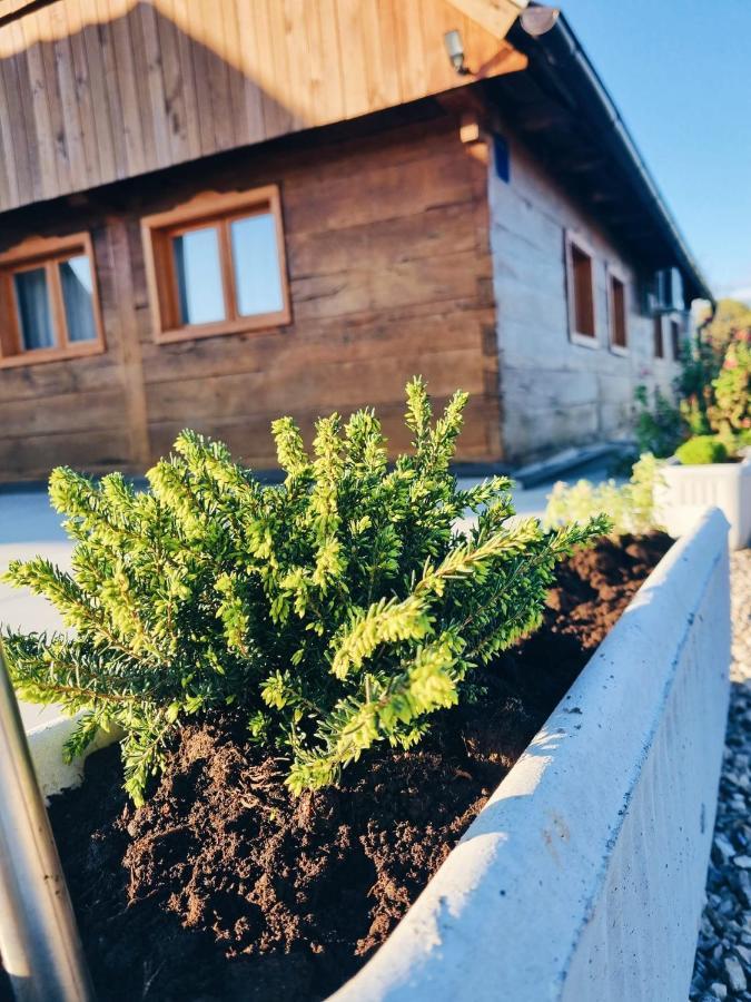 Pensjonat Ruralna Kuca Za Odmor Kablarovo Brdo Krnjak Zewnętrze zdjęcie