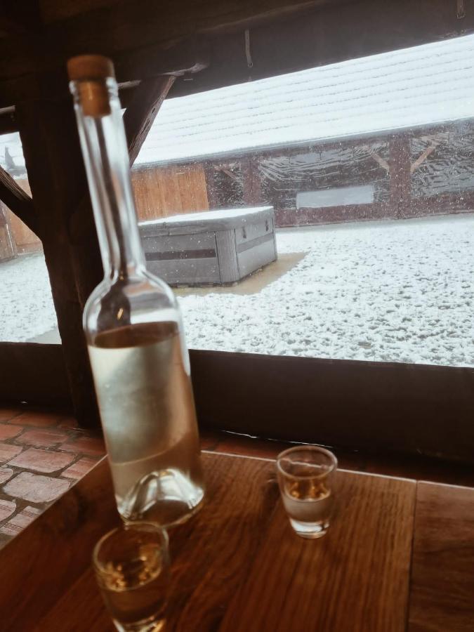 Pensjonat Ruralna Kuca Za Odmor Kablarovo Brdo Krnjak Zewnętrze zdjęcie